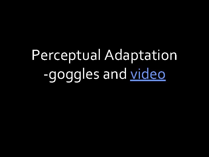 Perceptual Adaptation -goggles and video 