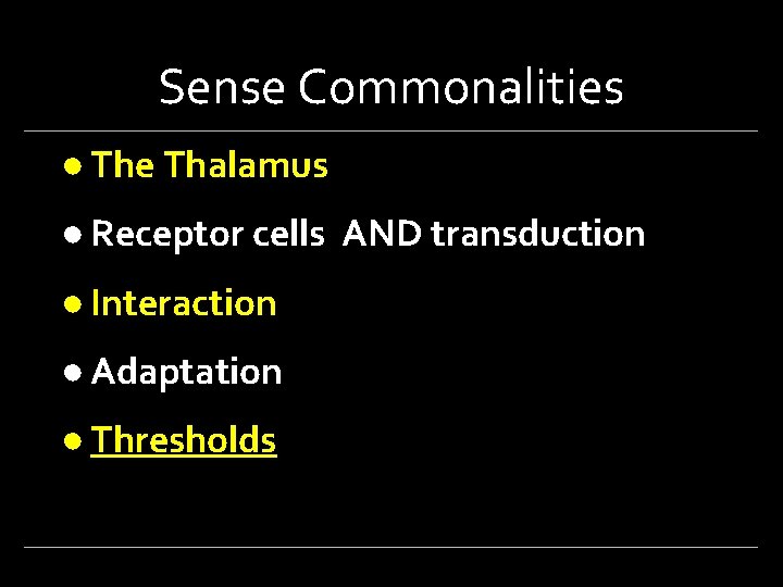 Sense Commonalities ● The Thalamus ● Receptor cells AND transduction ● Interaction ● Adaptation
