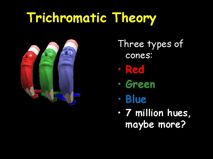 Trichromatic Theory Three types of cones: • Red • Green • Blue • 7