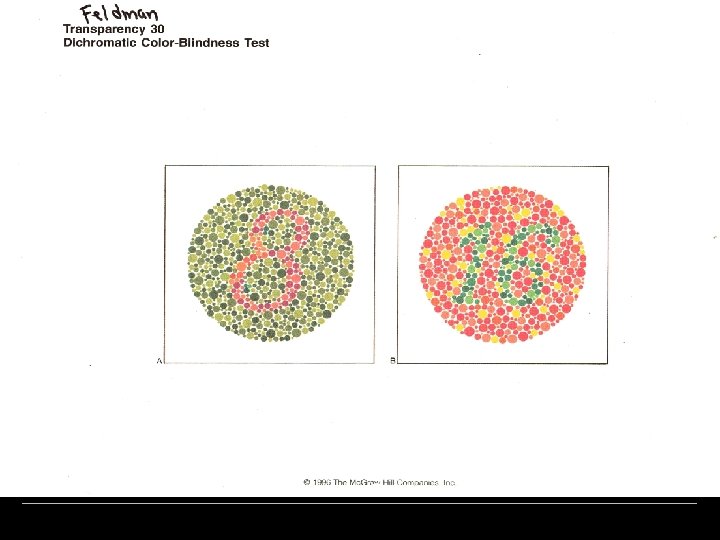A “Color Blindness” Test 