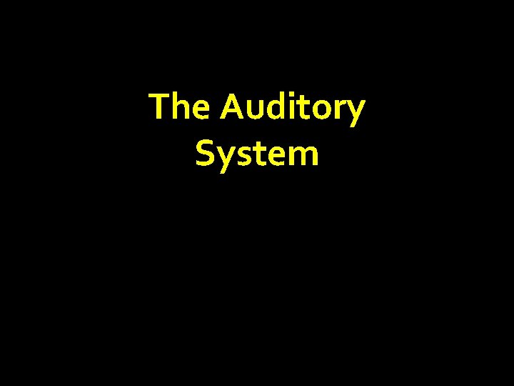 The Auditory System 