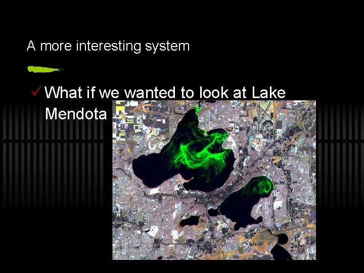 A more interesting system ü What if we wanted to look at Lake Mendota