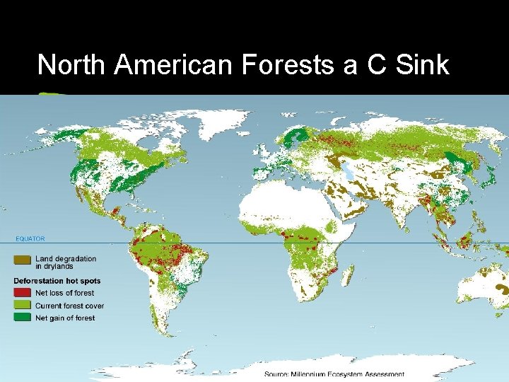 North American Forests a C Sink 