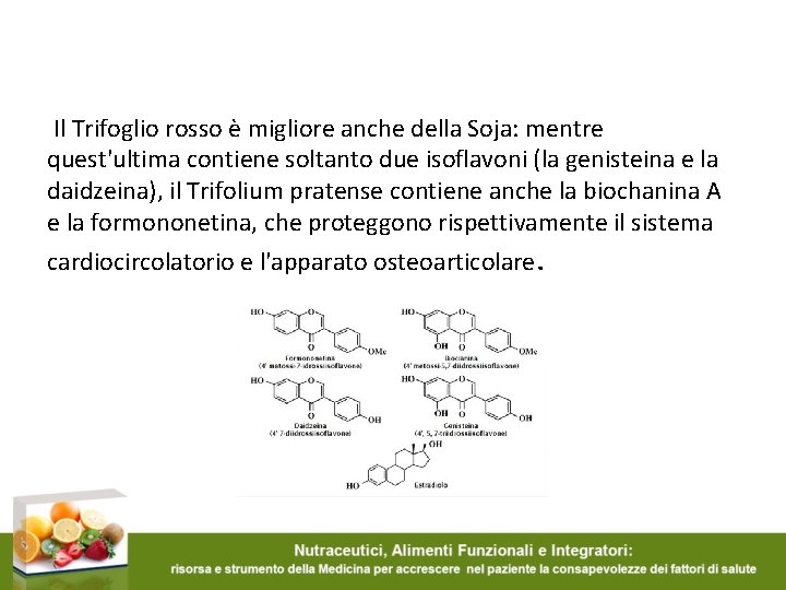 Il Trifoglio rosso è migliore anche della Soja: mentre quest'ultima contiene soltanto due isoflavoni