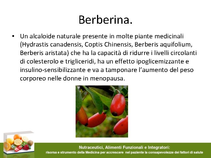Berberina. • Un alcaloide naturale presente in molte piante medicinali (Hydrastis canadensis, Coptis Chinensis,