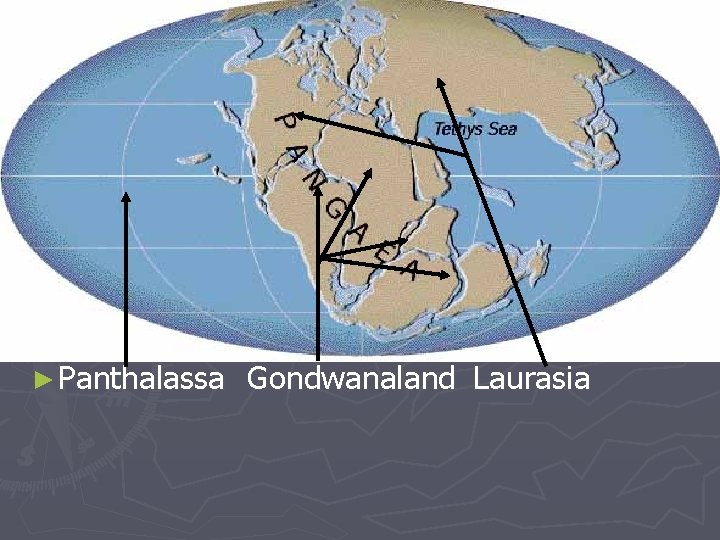 ► Panthalassa Gondwanaland Laurasia 