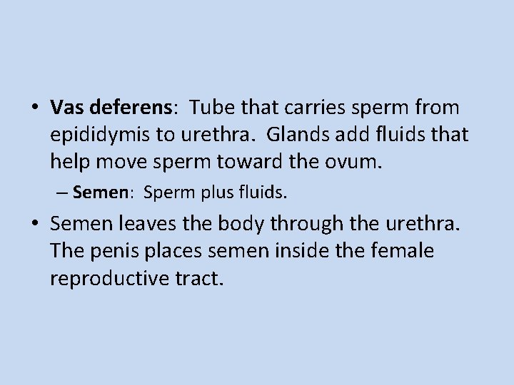  • Vas deferens: Tube that carries sperm from epididymis to urethra. Glands add