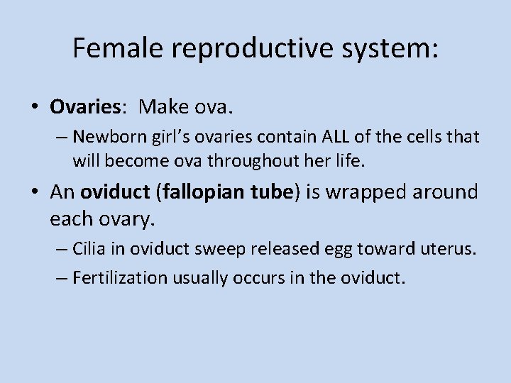 Female reproductive system: • Ovaries: Make ova. – Newborn girl’s ovaries contain ALL of