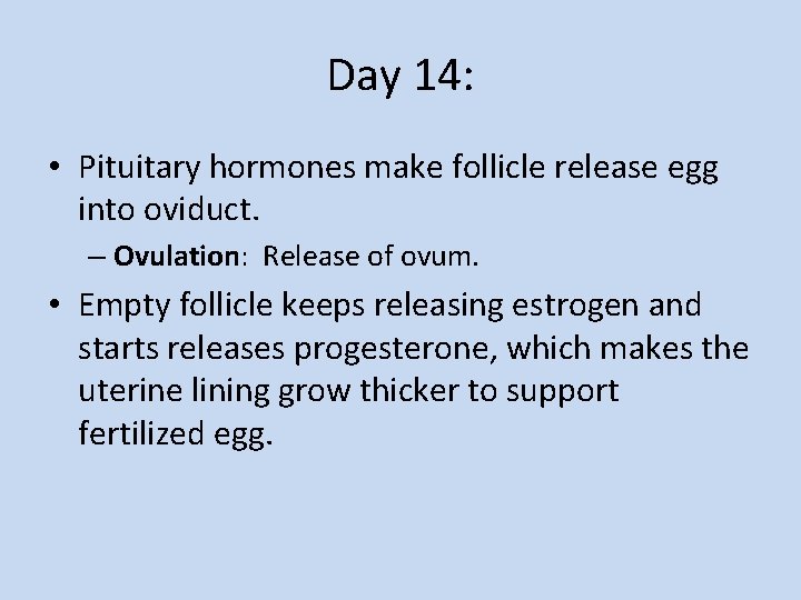 Day 14: • Pituitary hormones make follicle release egg into oviduct. – Ovulation: Release