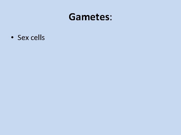 Gametes: • Sex cells 