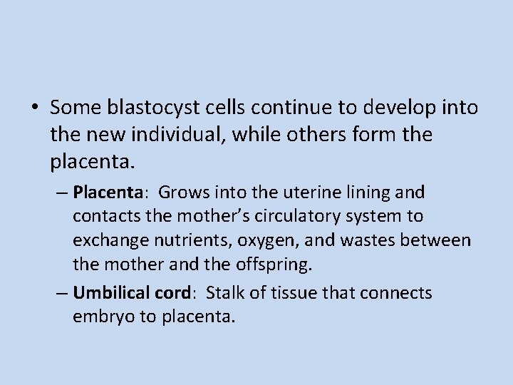  • Some blastocyst cells continue to develop into the new individual, while others