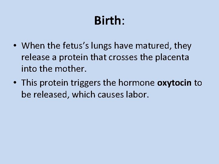 Birth: • When the fetus’s lungs have matured, they release a protein that crosses
