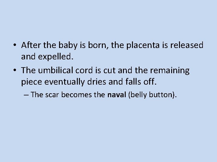  • After the baby is born, the placenta is released and expelled. •