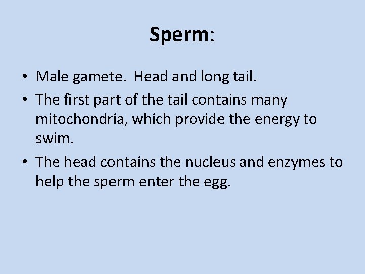 Sperm: • Male gamete. Head and long tail. • The first part of the