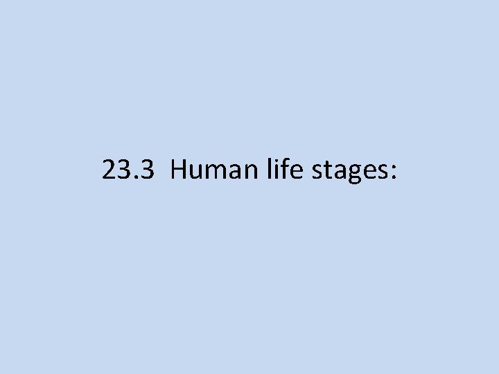 23. 3 Human life stages: 