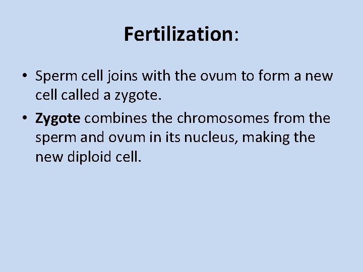 Fertilization: • Sperm cell joins with the ovum to form a new cell called