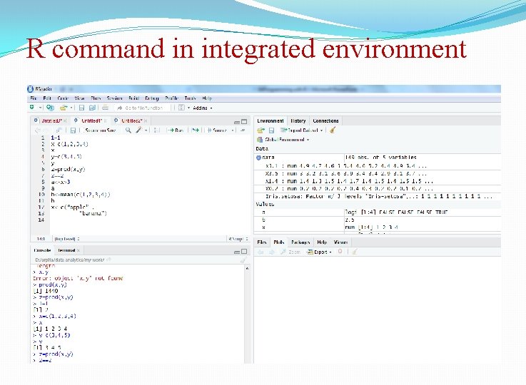 R command in integrated environment 