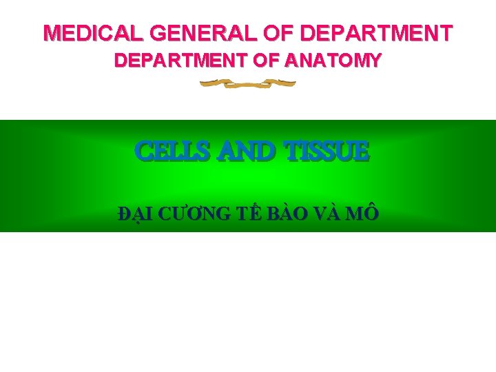 MEDICAL GENERAL OF DEPARTMENT OF ANATOMY CELLS AND TISSUE ĐẠI CƯƠNG TẾ BÀO VÀ