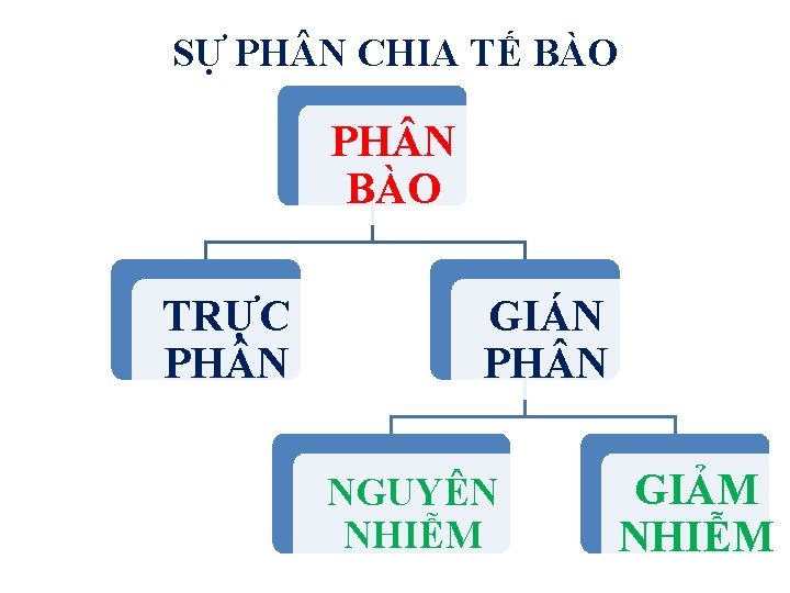 SỰ PH N CHIA TẾ BÀO PH N BÀO TRỰC PH N GIÁN PH