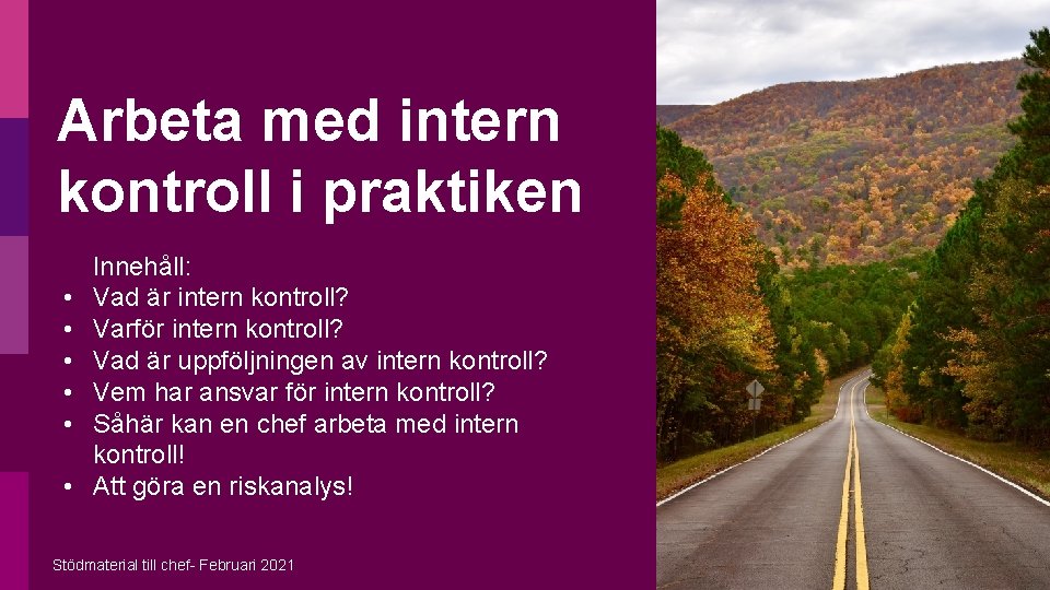 Arbeta med intern kontroll i praktiken • • • Innehåll: Vad är intern kontroll?