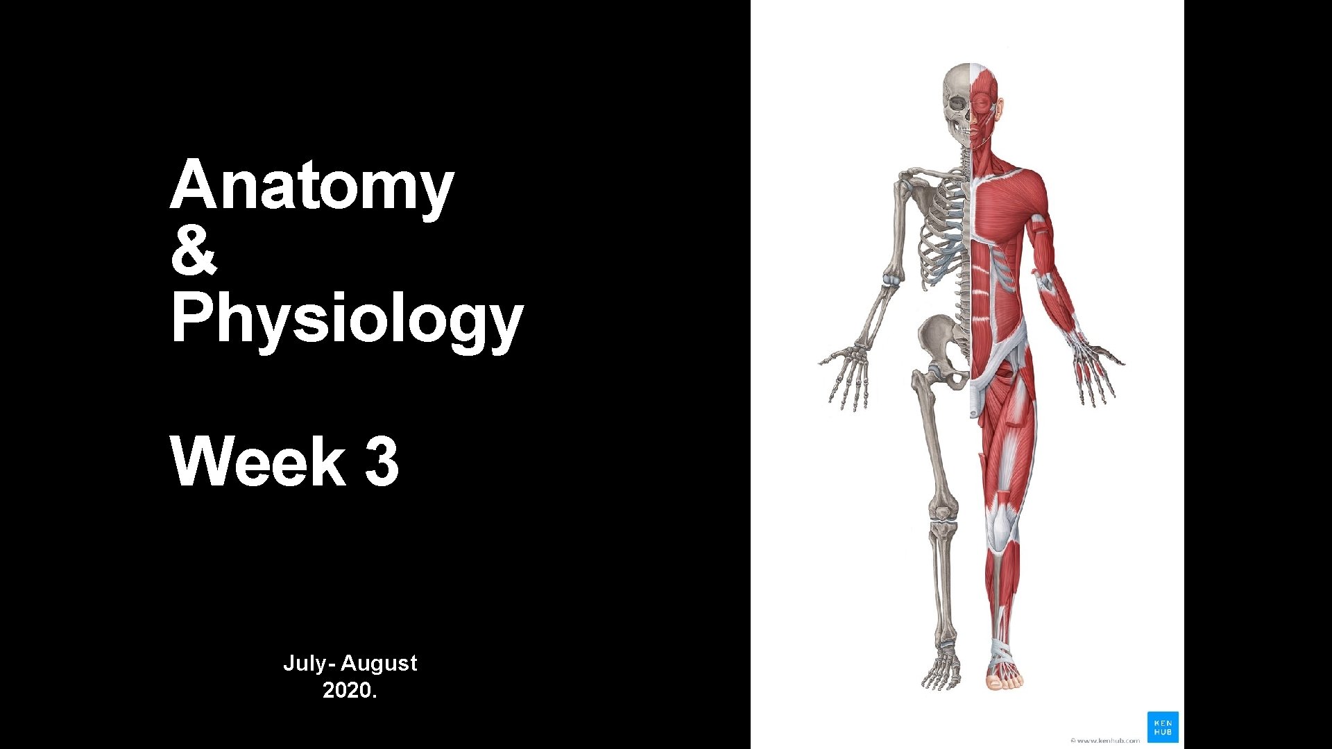 Anatomy & Physiology Week 3 July- August 2020. Anatomy & Physiology Week 3 July- August 2020.