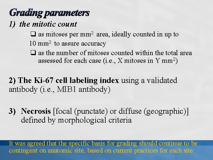 1) the mitotic count q as mitoses per mm 2 area, ideally counted in