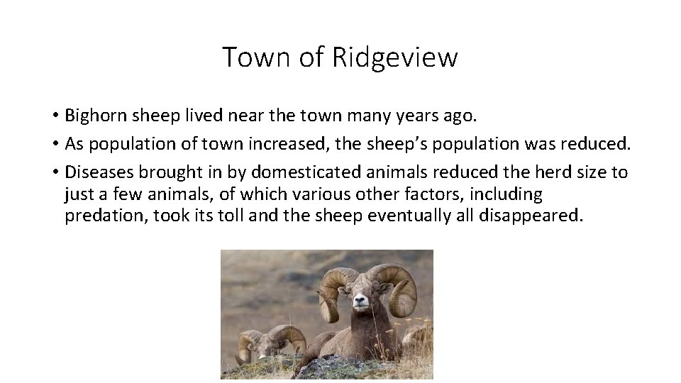Town of Ridgeview • Bighorn sheep lived near the town many years ago. •