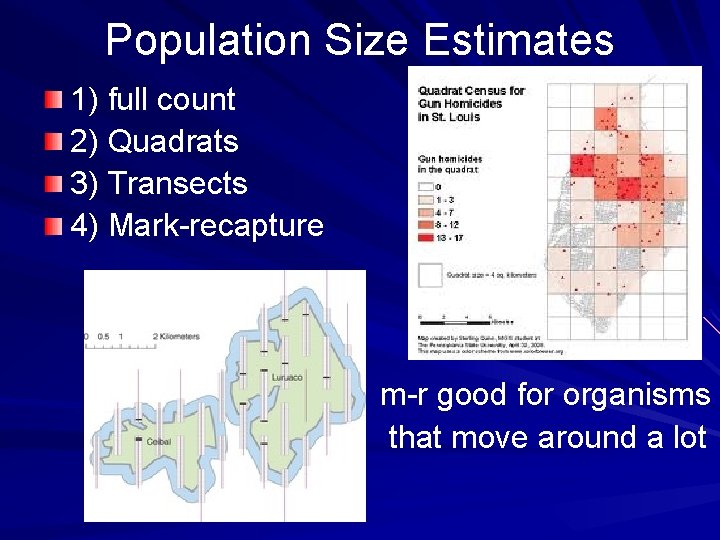 Population Size Estimates 1) full count 2) Quadrats 3) Transects 4) Mark-recapture m-r good