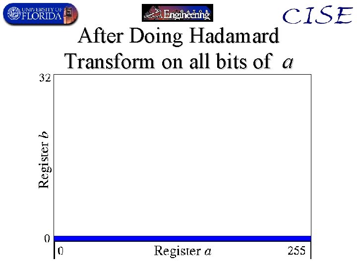 After Doing Hadamard Transform on all bits of a 