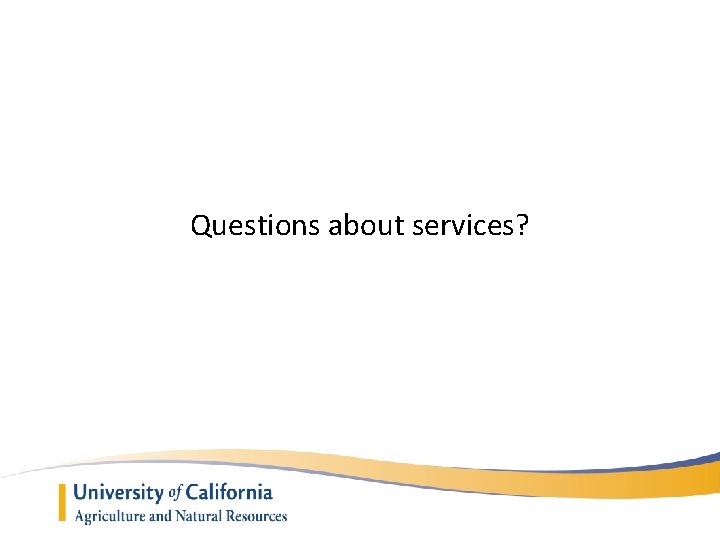Questions about services? 