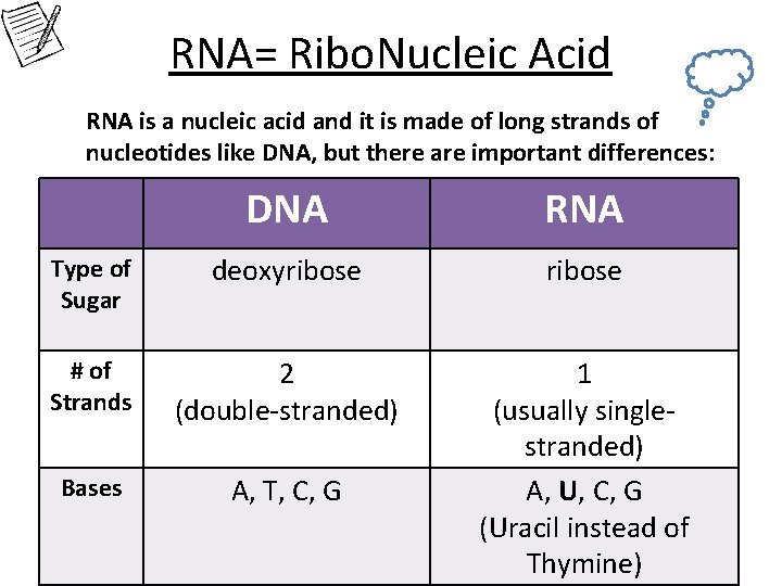 RNA= Ribo. Nucleic Acid RNA is a nucleic acid and it is made of