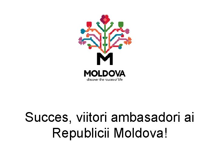 Succes, viitori ambasadori ai Republicii Moldova! 