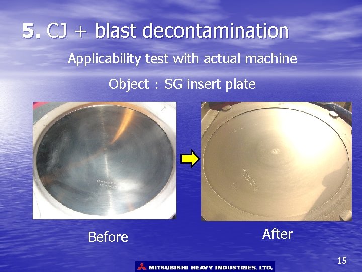 5. CJ + blast decontamination Applicability test with actual machine Object ： SG insert