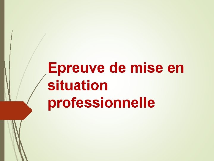 Epreuve de mise en situation professionnelle Epreuve de mise en situation professionnelle