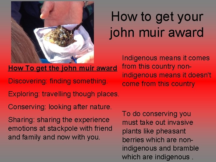 How to get your john muir award Indigenous means it comes How To get