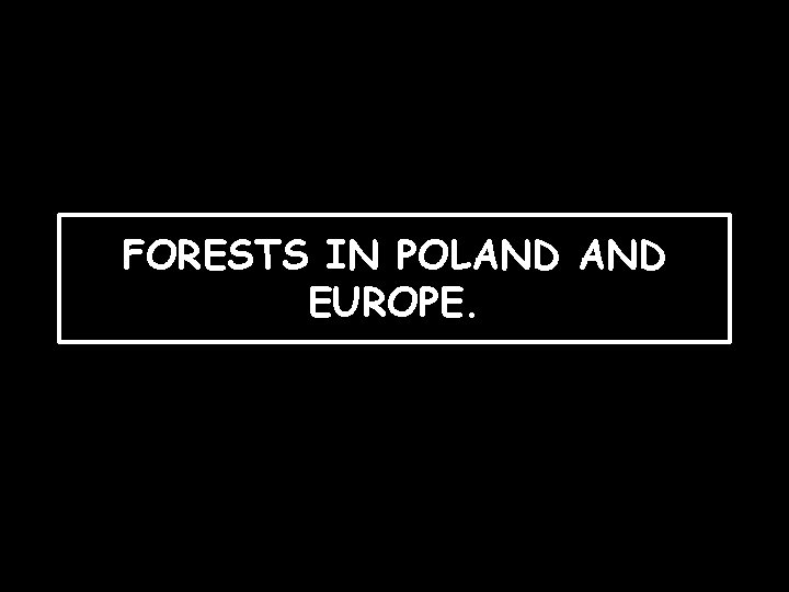 FORESTS IN POLAND EUROPE. 