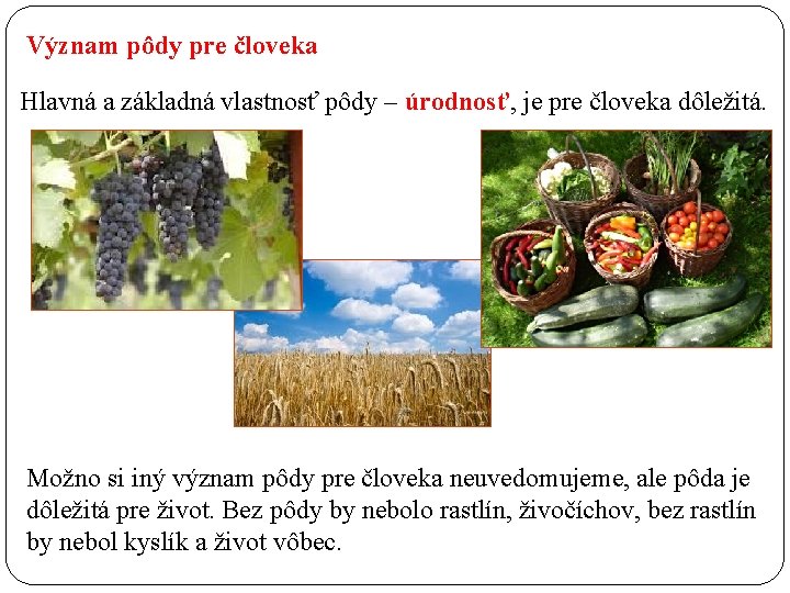 Význam pôdy pre človeka Hlavná a základná vlastnosť pôdy – úrodnosť, je pre človeka