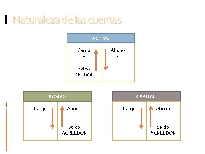 Naturaleza de las cuentas ACTIVO Cargo + Abono - Saldo DEUDOR PASIVO Cargo -