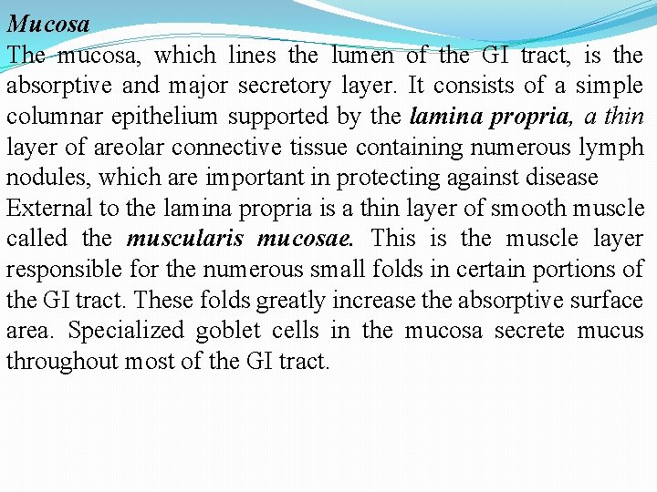 Mucosa The mucosa, which lines the lumen of the GI tract, is the absorptive