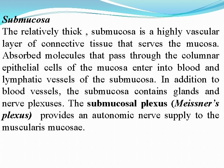 Submucosa The relatively thick , submucosa is a highly vascular layer of connective tissue