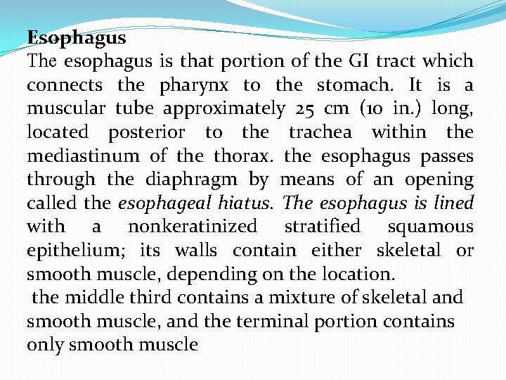 Esophagus The esophagus is that portion of the GI tract which connects the pharynx