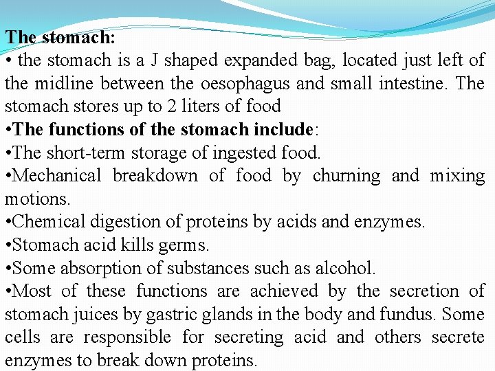 The stomach: • the stomach is a J shaped expanded bag, located just left