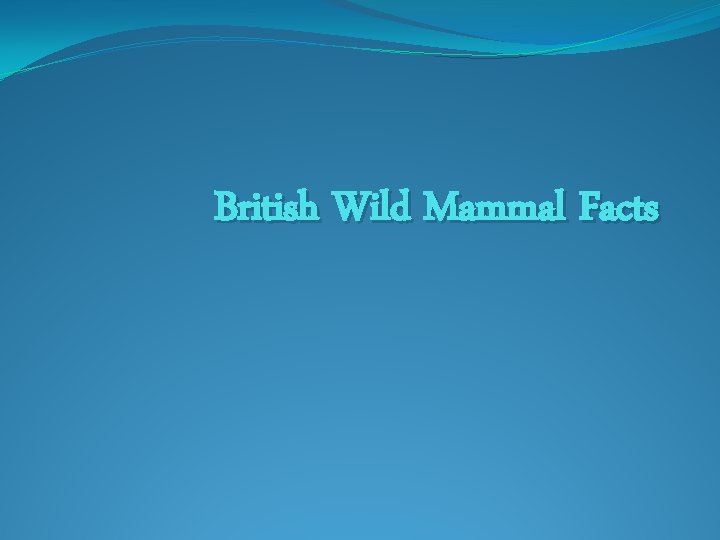 British Wild Mammal Facts 