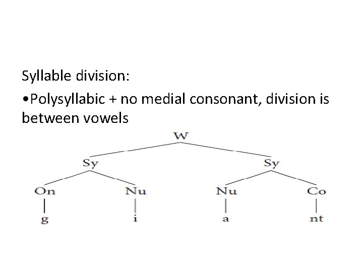Syllable division: • Polysyllabic + no medial consonant, division is between vowels 