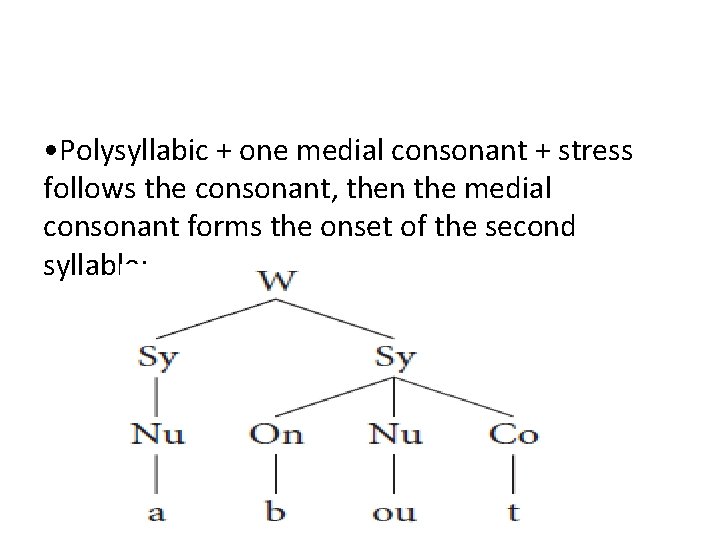  • Polysyllabic + one medial consonant + stress follows the consonant, then the
