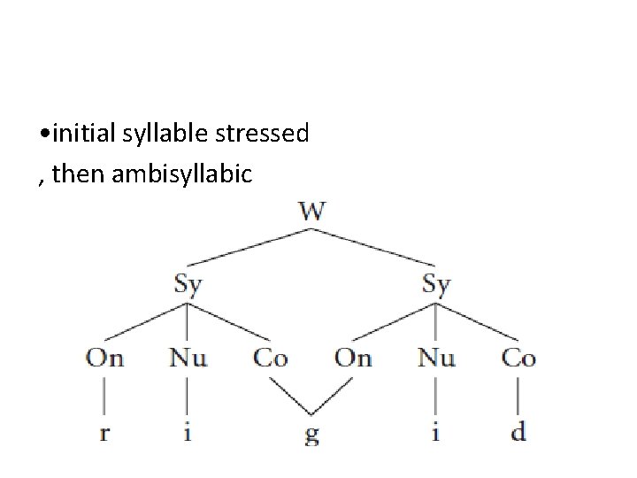  • initial syllable stressed , then ambisyllabic 