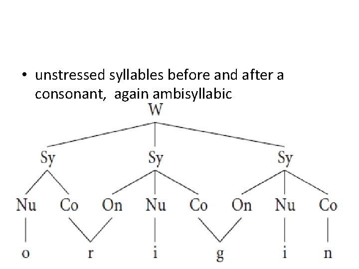  • unstressed syllables before and after a consonant, again ambisyllabic 