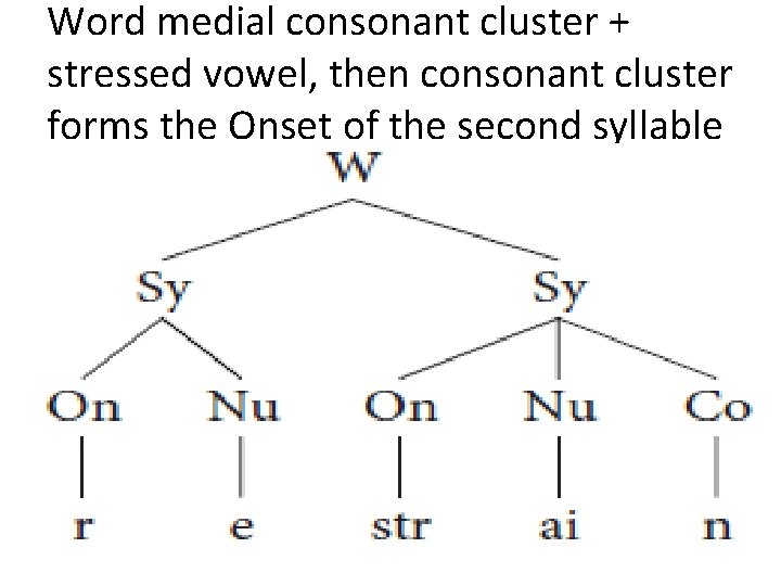 Word medial consonant cluster + stressed vowel, then consonant cluster forms the Onset of