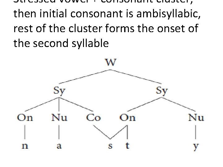 Stressed vowel + consonant cluster, then initial consonant is ambisyllabic, rest of the cluster