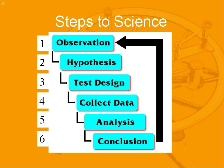 5 Steps to Science 1 2 3 4 5 6 